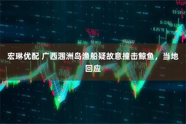 宏琳优配 广西涠洲岛渔船疑故意撞击鲸鱼，当地回应